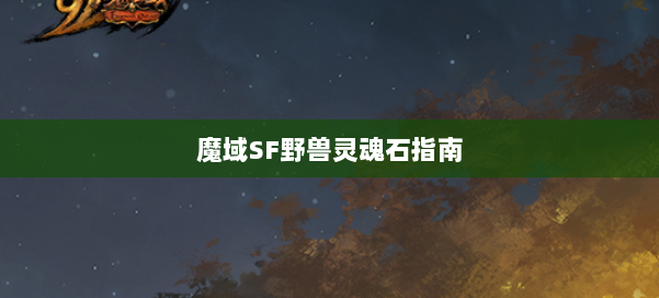 魔域SF野兽灵魂石指南